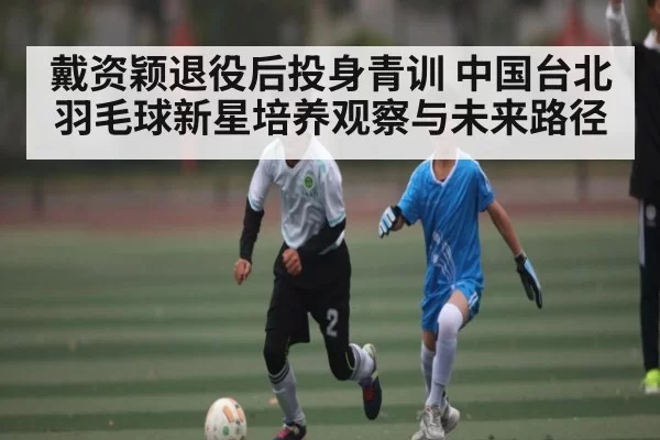 戴资颖退役后投身青训 中国台北羽毛球新星培养观察与未来路径 - NG28